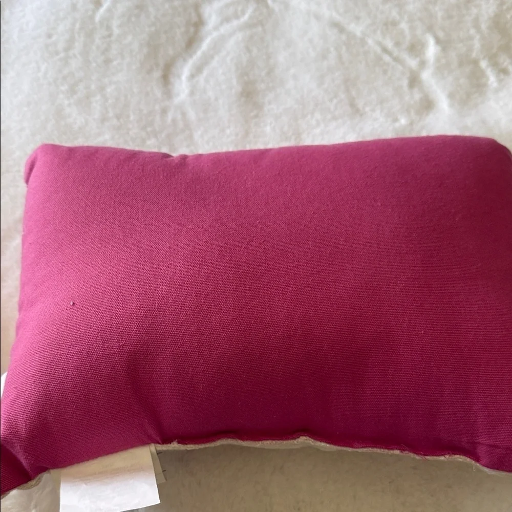👻👻Goblin & ghoul Halloween pink ombre ghost pillow 👻👻